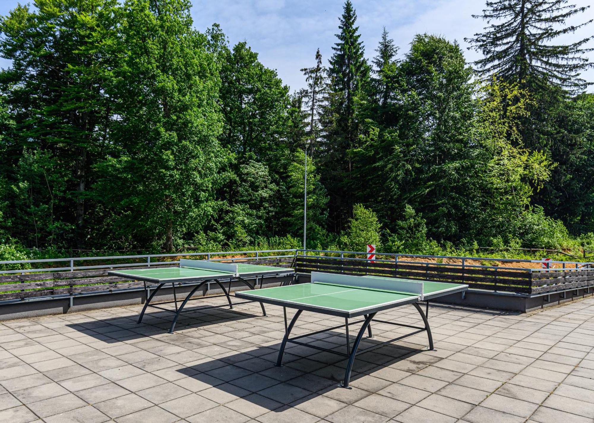 Apartment "Mountain Relax" Poiana Braşov Dış mekan fotoğraf