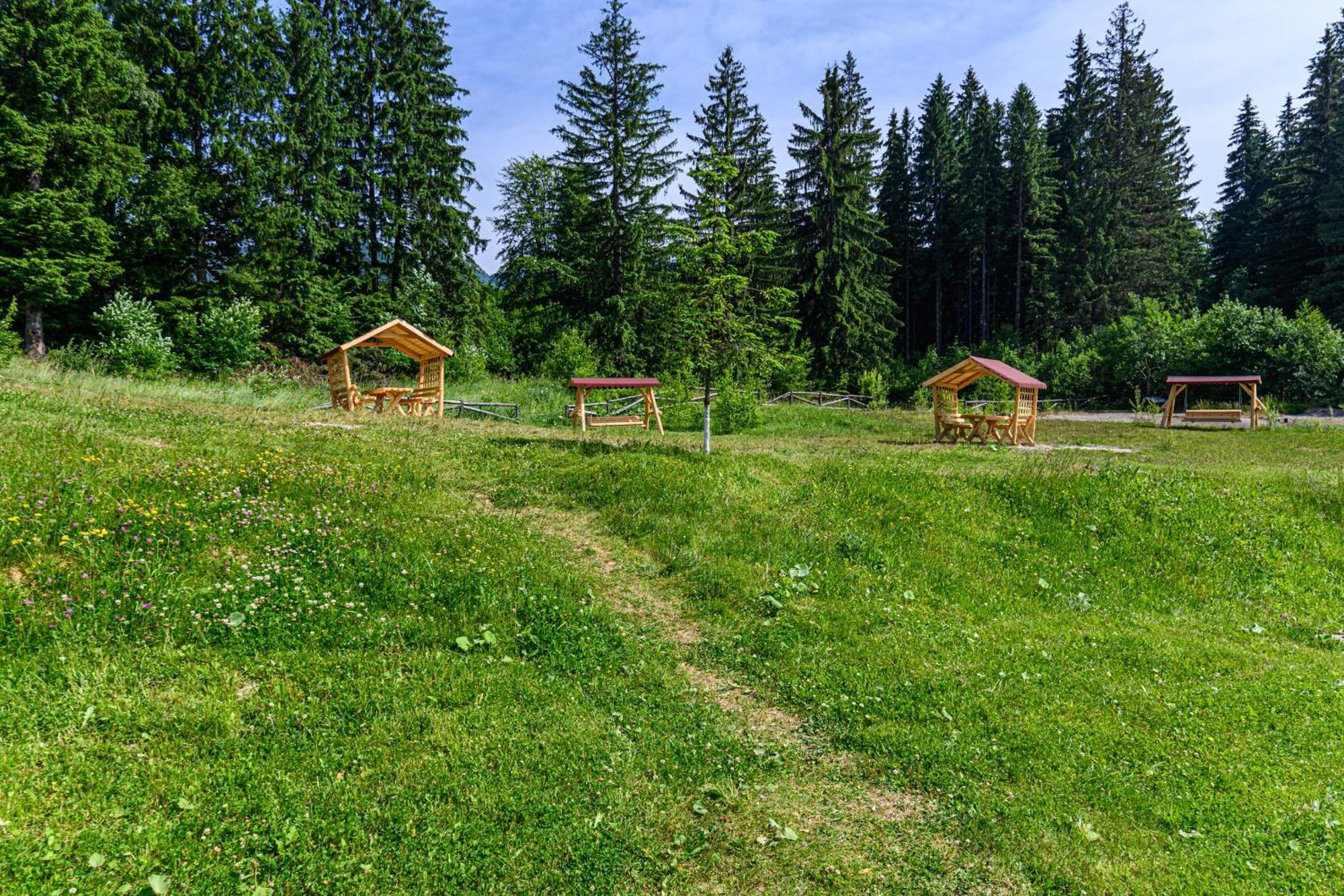 Apartment "Mountain Relax" Poiana Braşov Dış mekan fotoğraf