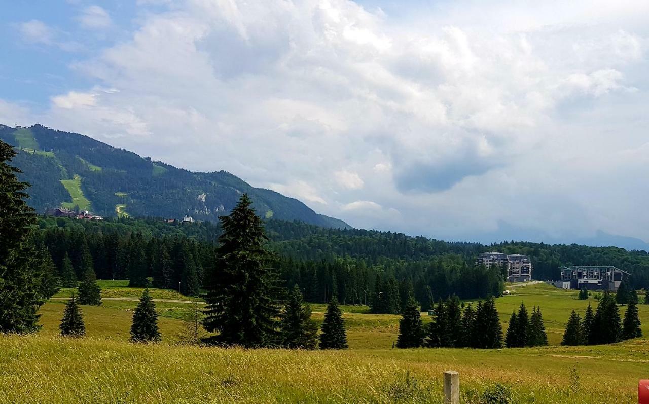 Apartment "Mountain Relax" Poiana Braşov Dış mekan fotoğraf
