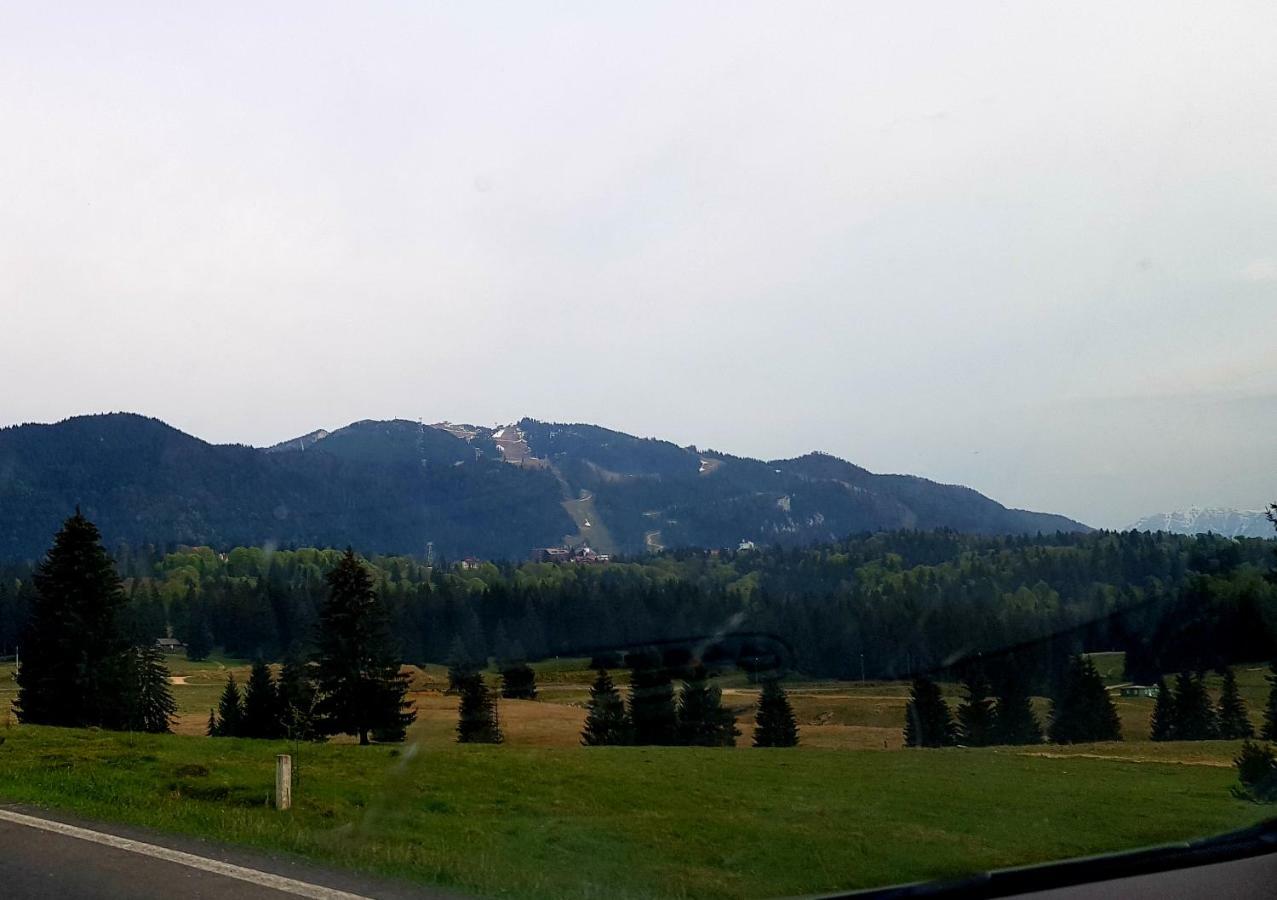 Apartment "Mountain Relax" Poiana Braşov Dış mekan fotoğraf