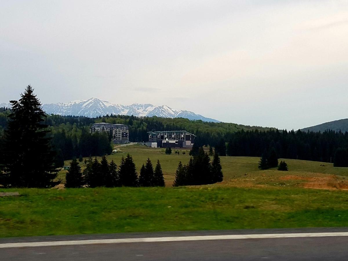 Apartment "Mountain Relax" Poiana Braşov Dış mekan fotoğraf